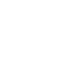 Nabs_logo_DEF_wit (1)